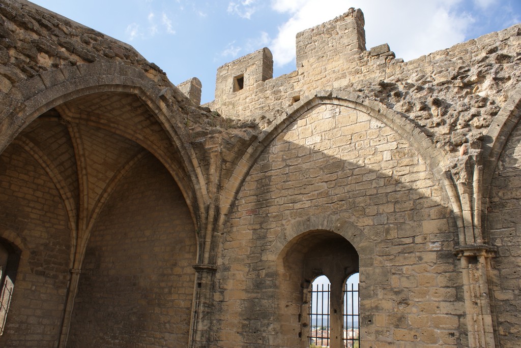 ag2014-51.jpg