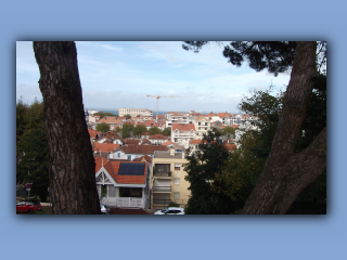 DSCF2606.jpg