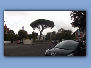 DSCF2611.jpg