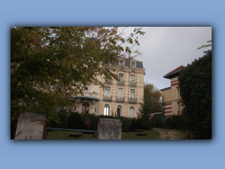 DSCF2615.jpg