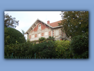 DSCF2616.jpg