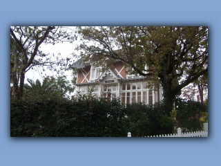DSCF2623.jpg