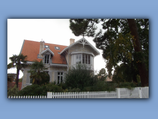 DSCF2624.jpg