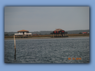 DSC_0180.jpg