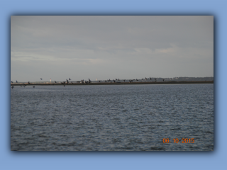 DSC_0183.jpg