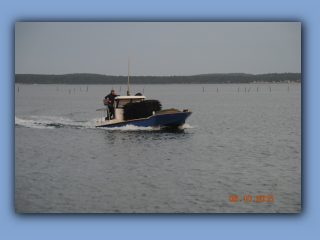 DSC_0184.jpg
