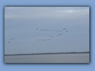DSC_3079.jpg